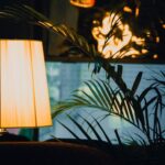 Tips for Creating a Cozy and Inviting Home Environment